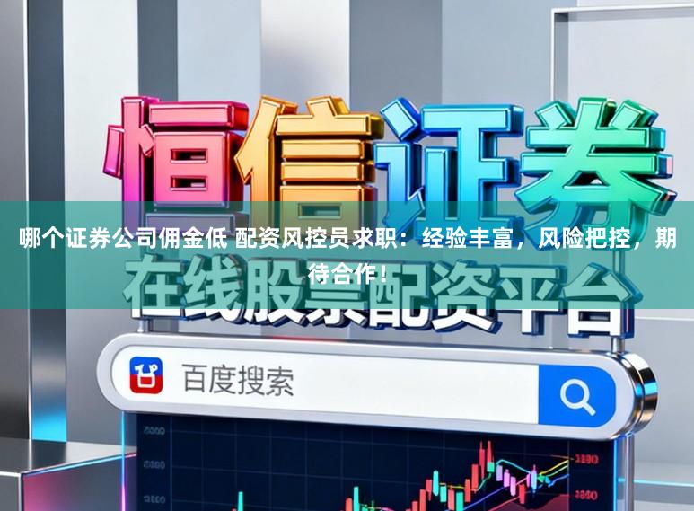 哪个证券公司佣金低 配资风控员求职：经验丰富，风险把控，期待合作！